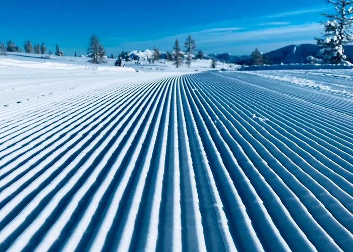 Mona's Appartement Sankt Pankraz